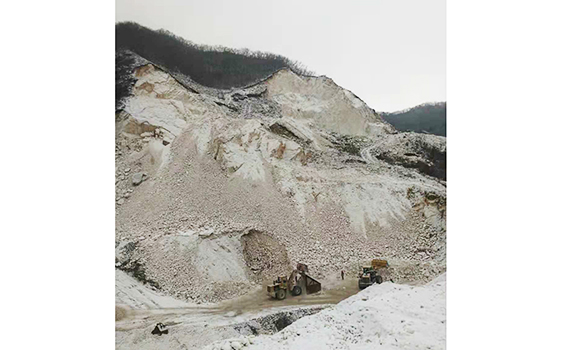 熱烈慶祝鞍山東盛源礦業(yè)有限公司網(wǎng)站正式成立！